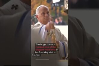 Huge crowds cheer Pope Leo as he leads open-air Mass in Paris