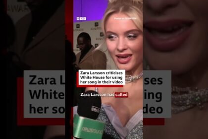 Zara Larsson criticises White House for using her song in their video. #US #BBCNews