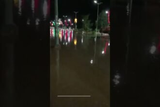 Floods inundate roads in southeastern Algeria