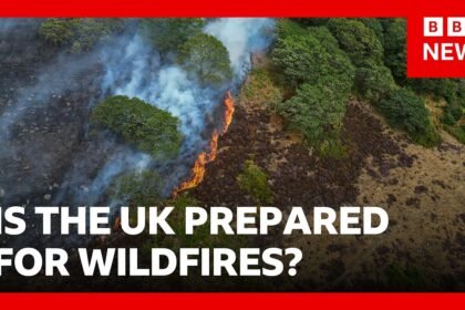 Lives 'will be lost' unless UK does more to combat wildfires, experts warn | BBC News