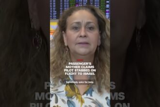 Passenger's mother claims pilot stabbed on flight to Israel