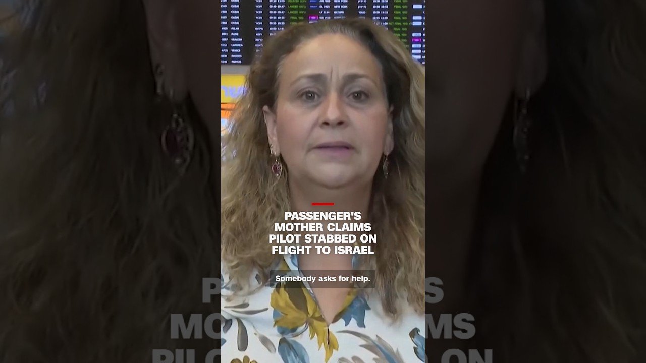 Passenger's mother claims pilot stabbed on flight to Israel