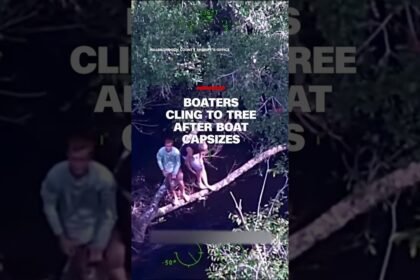 Boaters cling to tree after boat capsizes