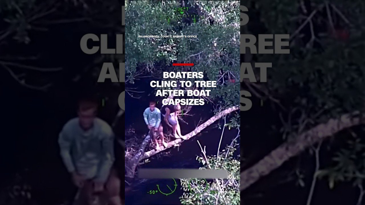 Boaters cling to tree after boat capsizes