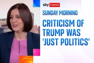 Burnham criticism of Trump was 'just politics', minister claims