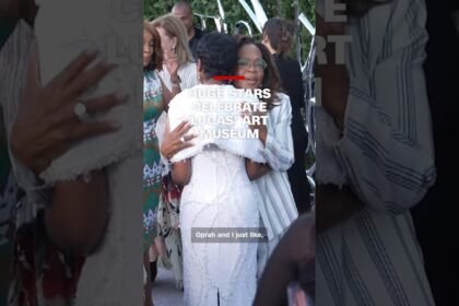 Huge stars celebrate Lucas' art museum opening