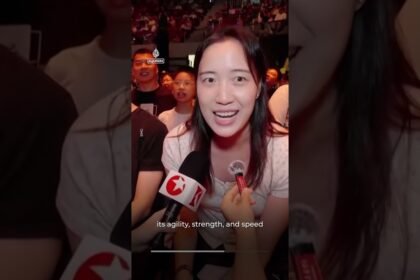 Humanoid robots fight in cage match in Shanghai