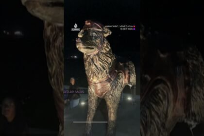Venezuela quakes rescue dog ‘Tsunami’ honoured with statue | AJ #shorts