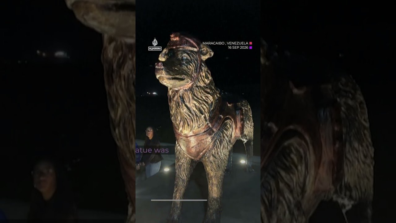 Venezuela quakes rescue dog ‘Tsunami’ honoured with statue | AJ #shorts
