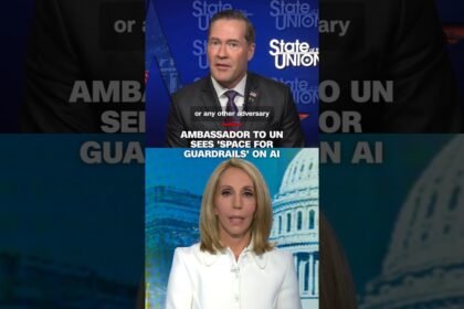 Ambassador to UN sees ‘space for guardrails’ on AI