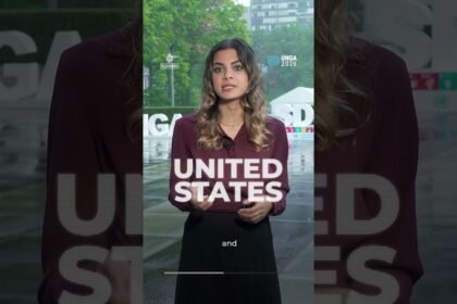 Who actually has power at the United Nations? | AJ #shorts