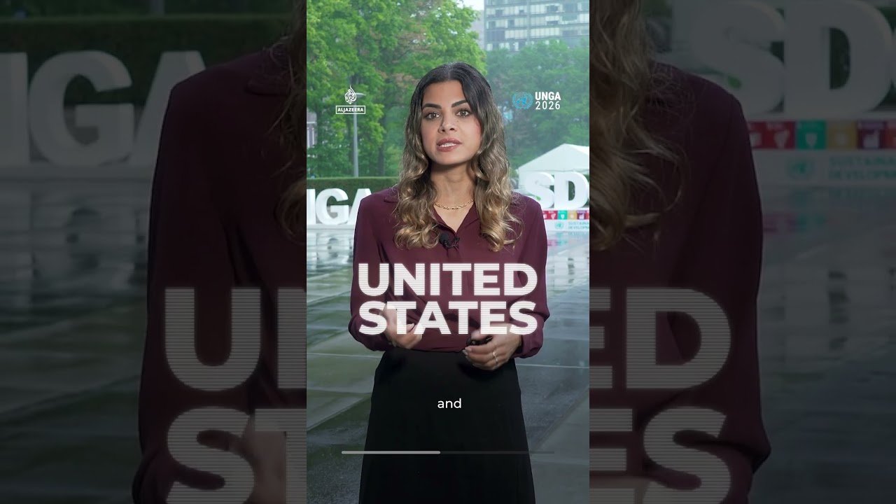 Who actually has power at the United Nations? | AJ #shorts