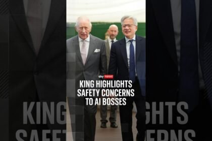 King highlights safety concerns to AI bosses