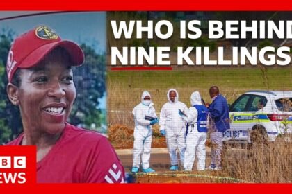 Nine women found dead. What's happening in South Africa? | BBC News