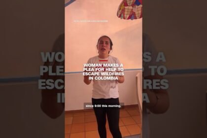 Woman makes a plea for help to escape Colombian wildfires