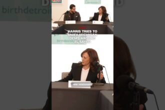 Harris tries to unify Michigan Dems around El-Sayed