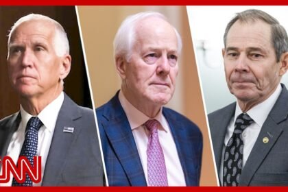 3 GOP Senators call for an investigation into Donald Trump Jr.