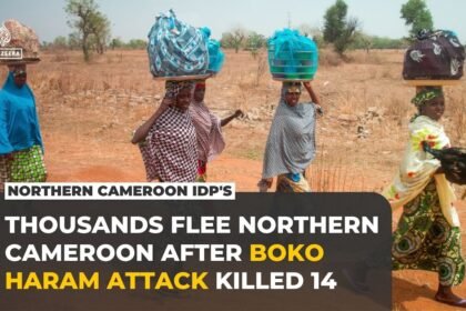 Thousands flee homes in Far North Cameroon after armed group raid kills 14