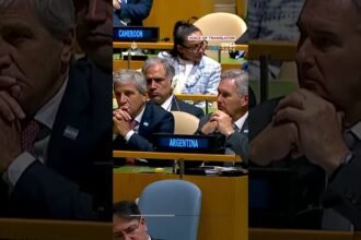 Argentina to UN: Falkland Islands are a ‘national cause’ | AJ #shorts