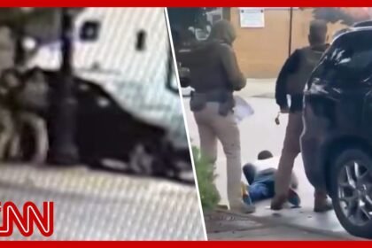 'I'm a f**king US citizen': ICE mistakenly targets man in Illinois