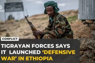 Tigray forces launch offensive against Ethiopian government
