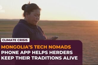 Mongolia’s nomadic herders use GPS and AI to protect livestock from climate threats
