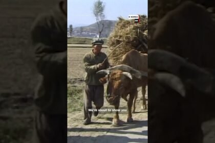 The secret lives of North Korea