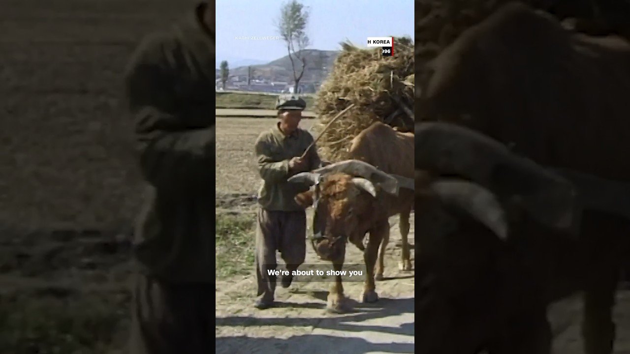 The secret lives of North Korea