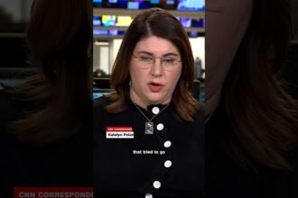 CNN, MS NOW and Politico request emergency hearing over White House access