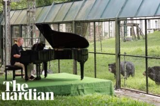 Rick Wakeman plays piano at bear sanctuary