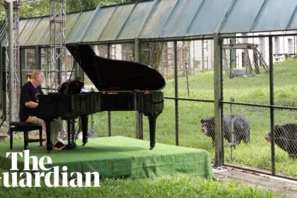 Rick Wakeman plays piano at bear sanctuary