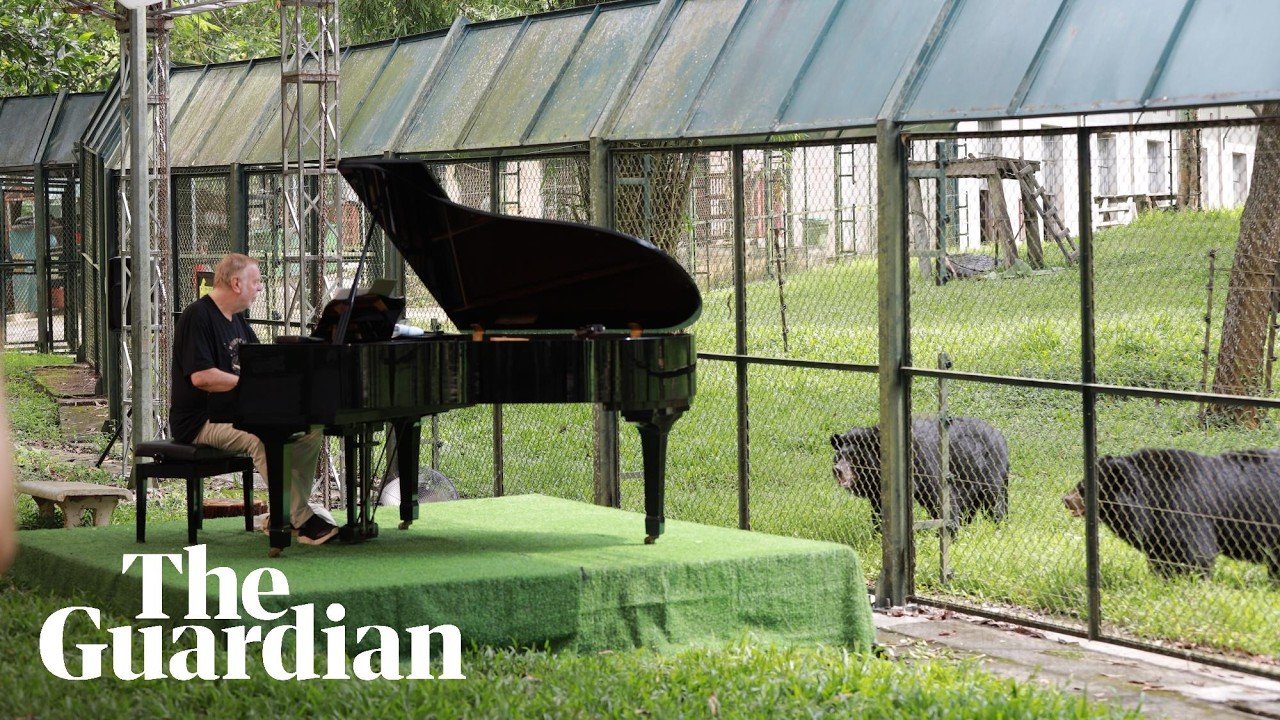 Rick Wakeman plays piano at bear sanctuary