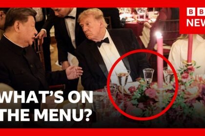 What Trump and Xi dined on at the White House state dinner | BBC News