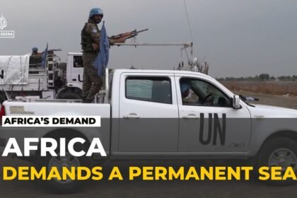 African nations at the security council: Calls for representation at United Nations body