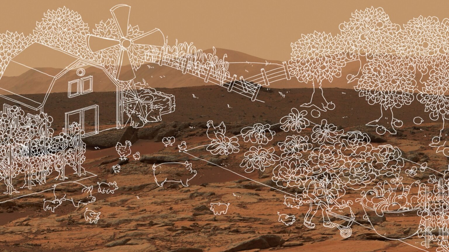 The Download: a bid to scrap the virtual wall and AI hits Climate Week
