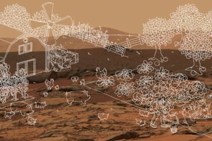 The Download: a bid to scrap the virtual wall and AI hits Climate Week