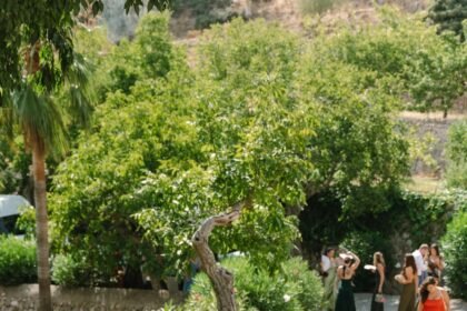How to Find the Perfect Semi-Formal Wedding Guest Dress
