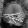 Vapor-phase synthesis of MXenes could expand their technological applications