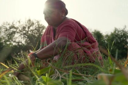 What 1,000 Women Workers Can Teach Us About Surviving Extreme Heat