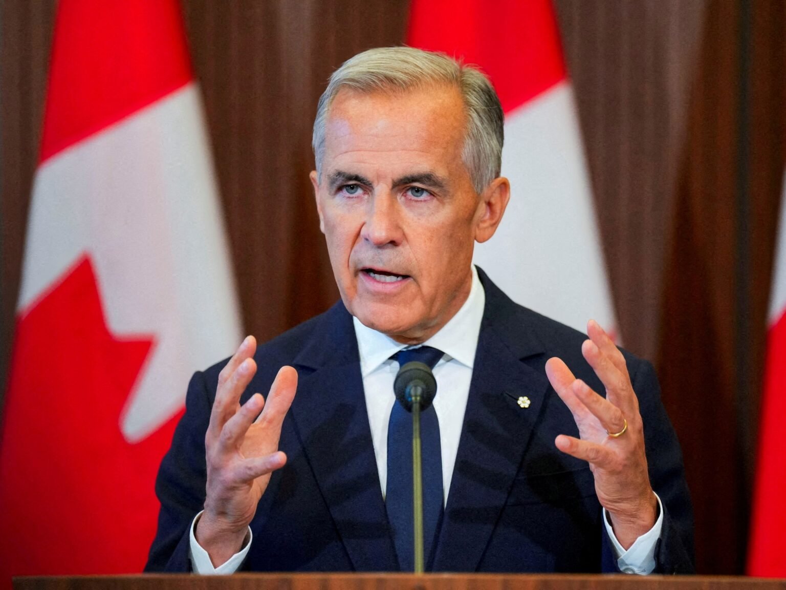 Can ‘middle powers’ come together to build a new economic alliance?