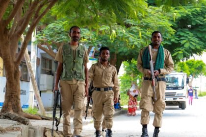 Ethiopian army says 272 Tigrayan fighters killed in Amhara