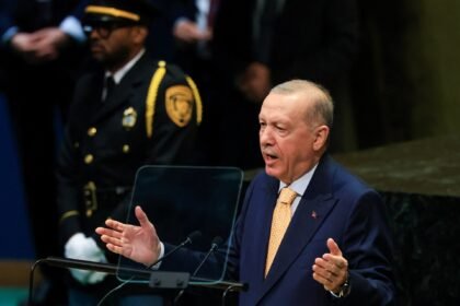 Turkiye calls for UN Security Council veto to end: Could it happen?
