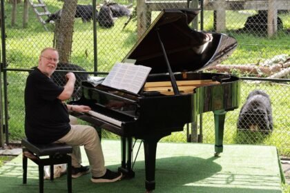 Songs in Ursa Minor: Yes’ Rick Wakeman Performed a Private Show for 150 Rescue Bears