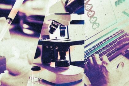 When can we say AI made a scientific discovery?