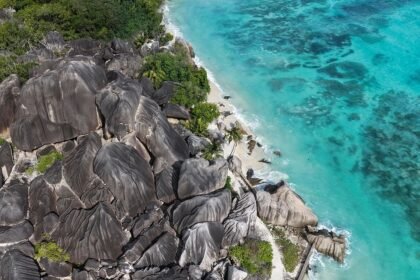 The Next Four Years Will Decide the Ocean’s Future