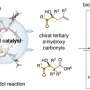 Developing new asymmetric catalytic reactions for the synthesis of complex molecules