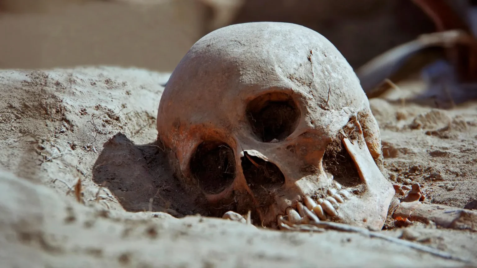 Ancient DNA reveals how plague kept returning for 400 years after the Black Death