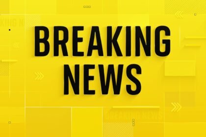 At least 11 dead in mass shooting at house party in South Africa