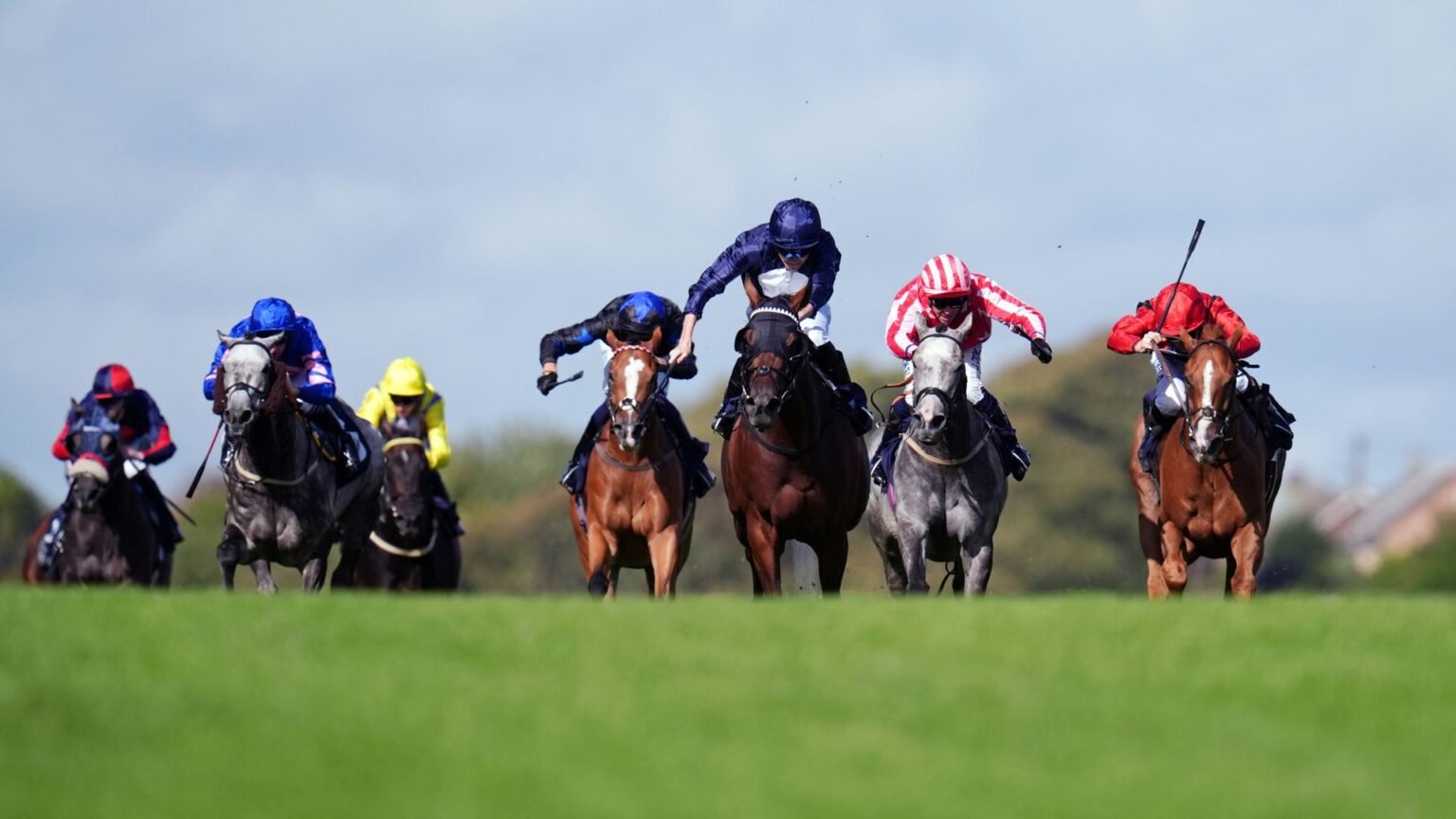 Danehill Star chases the hat-trick at Brighton