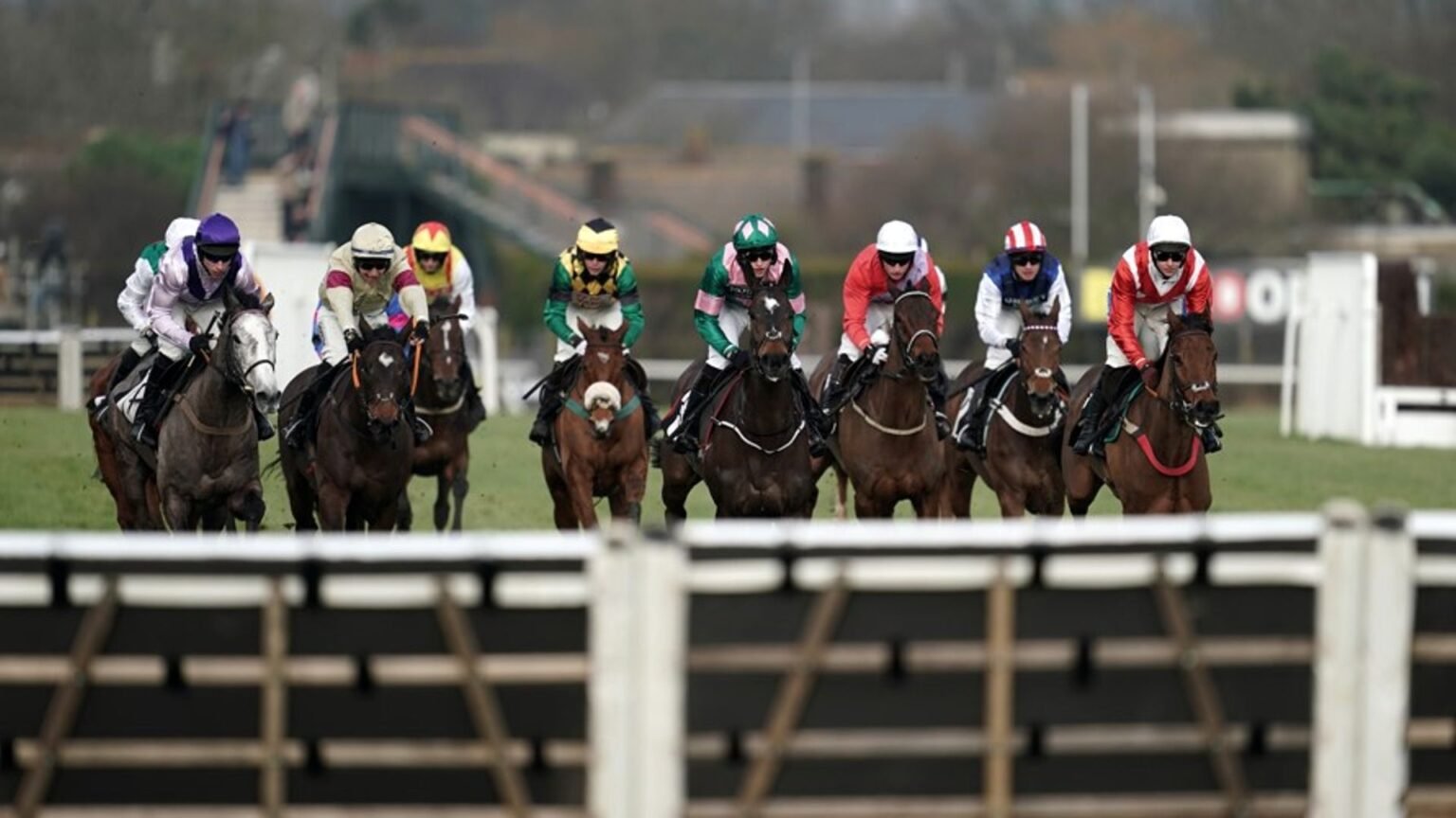 Today on Sky Sports Racing: Edelak and Mojito Des Mottes clash at Plumpton